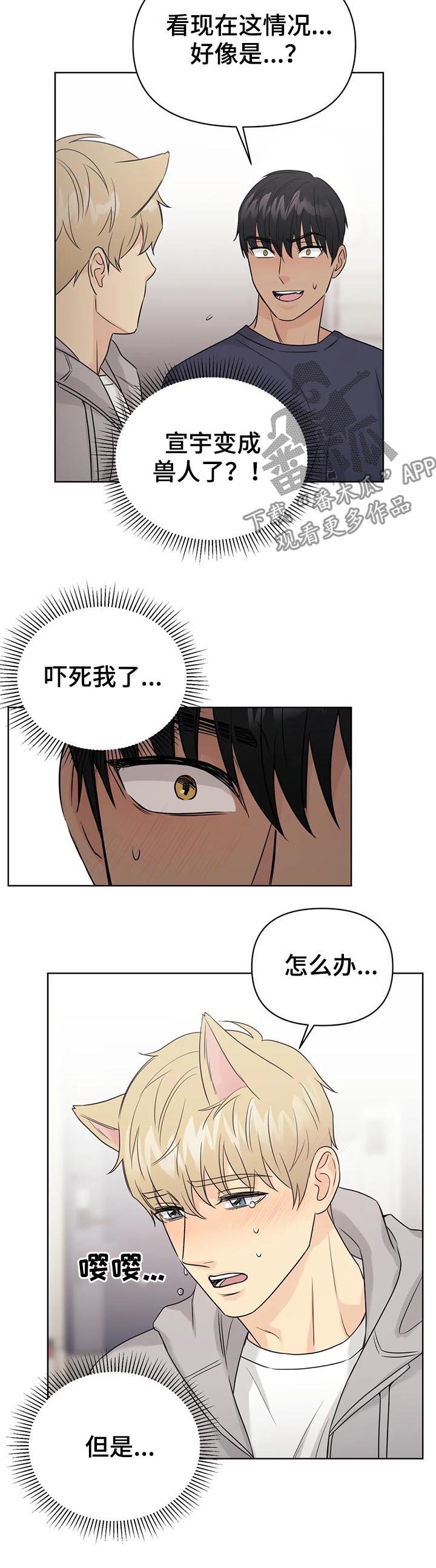 第59章：【番外】呆呆的宣宇1