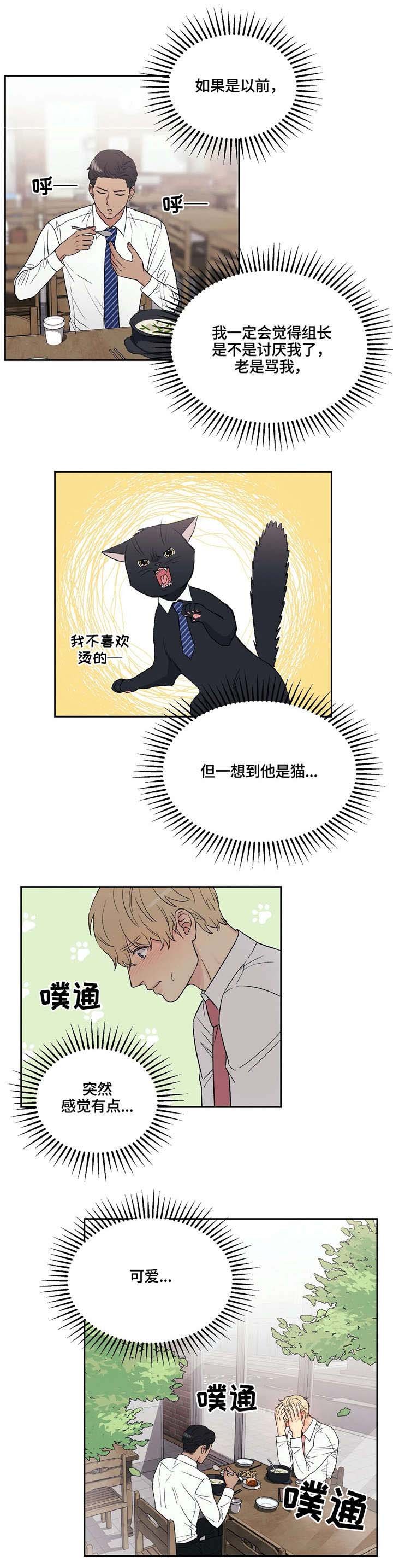 第6章：可爱