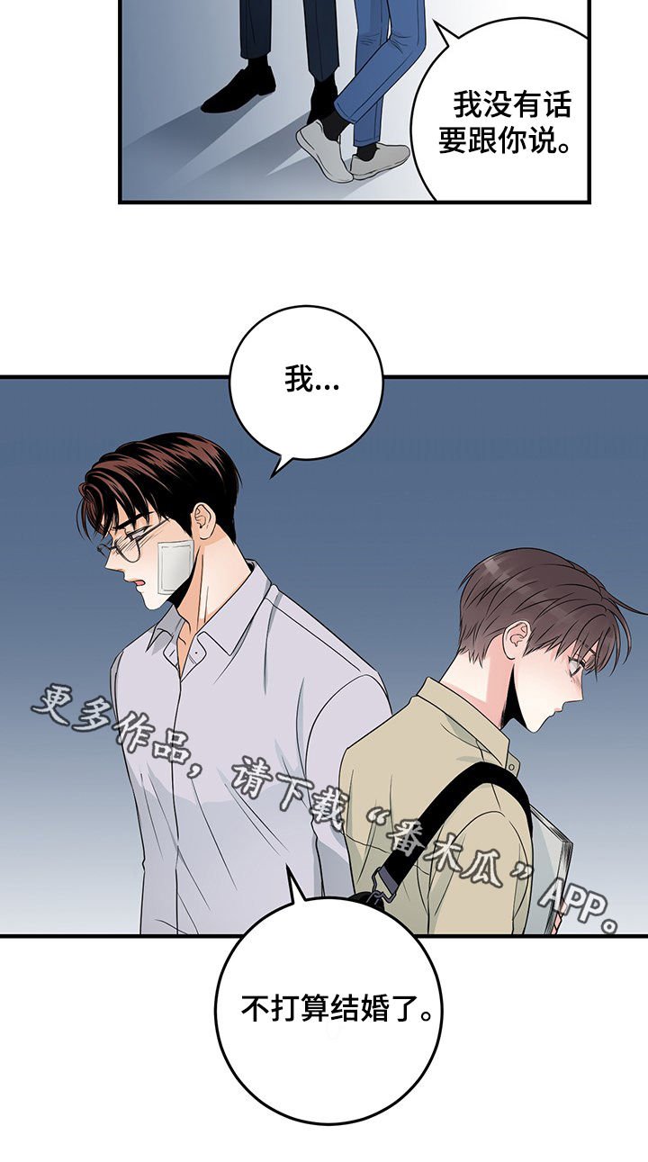 第56章：不打算结婚了