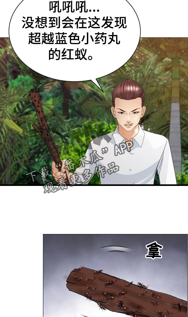 第60章：蚂蚁的功效