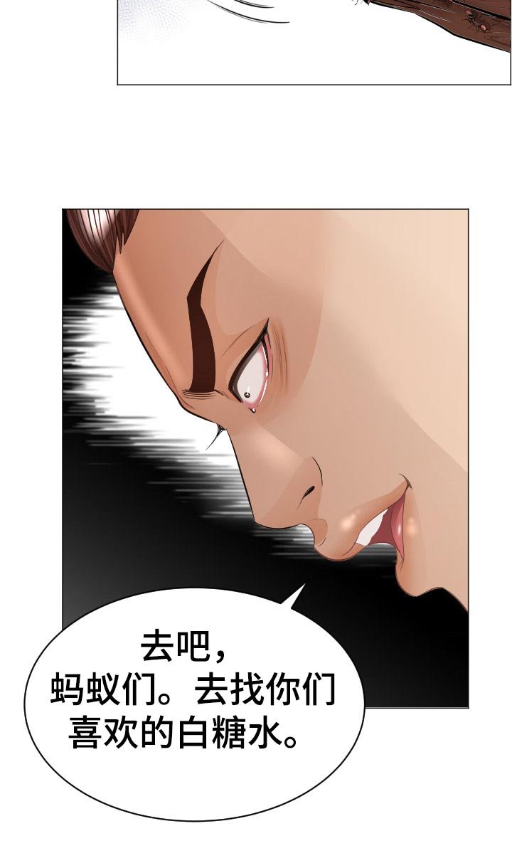 第60章：蚂蚁的功效