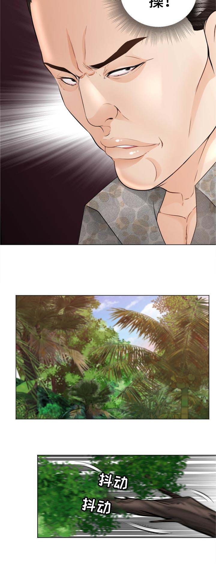 第62章：反击