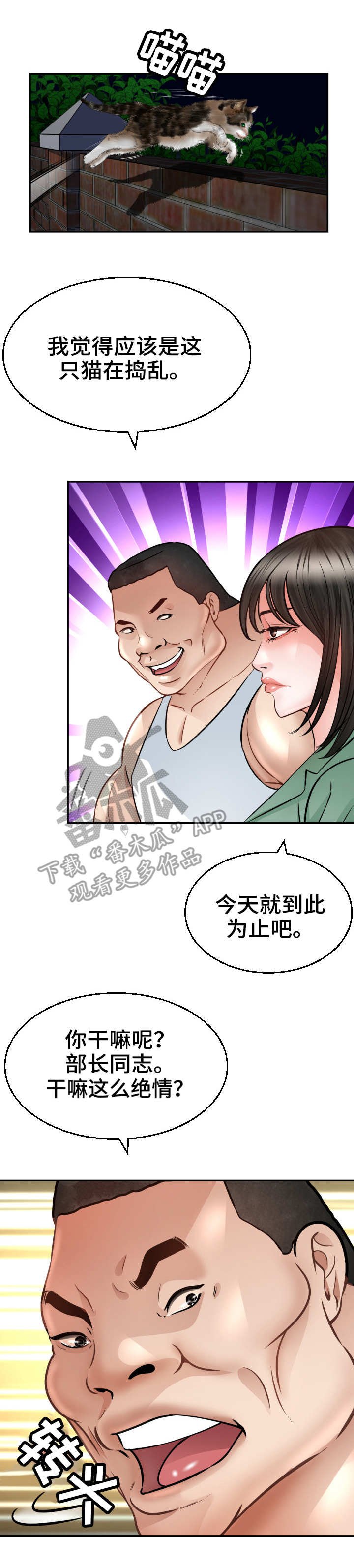 第7章：猫咪