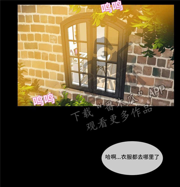 第12章：记忆缺失