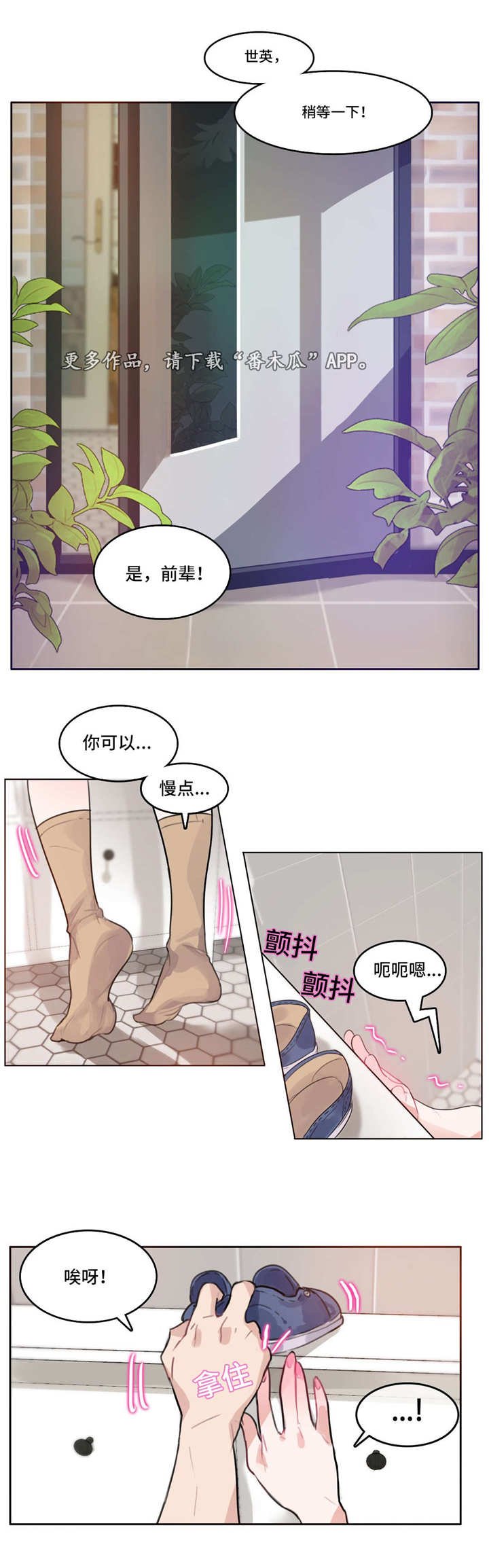 第17章：糖