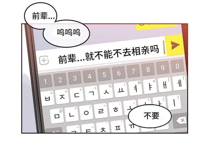 第29章：约定