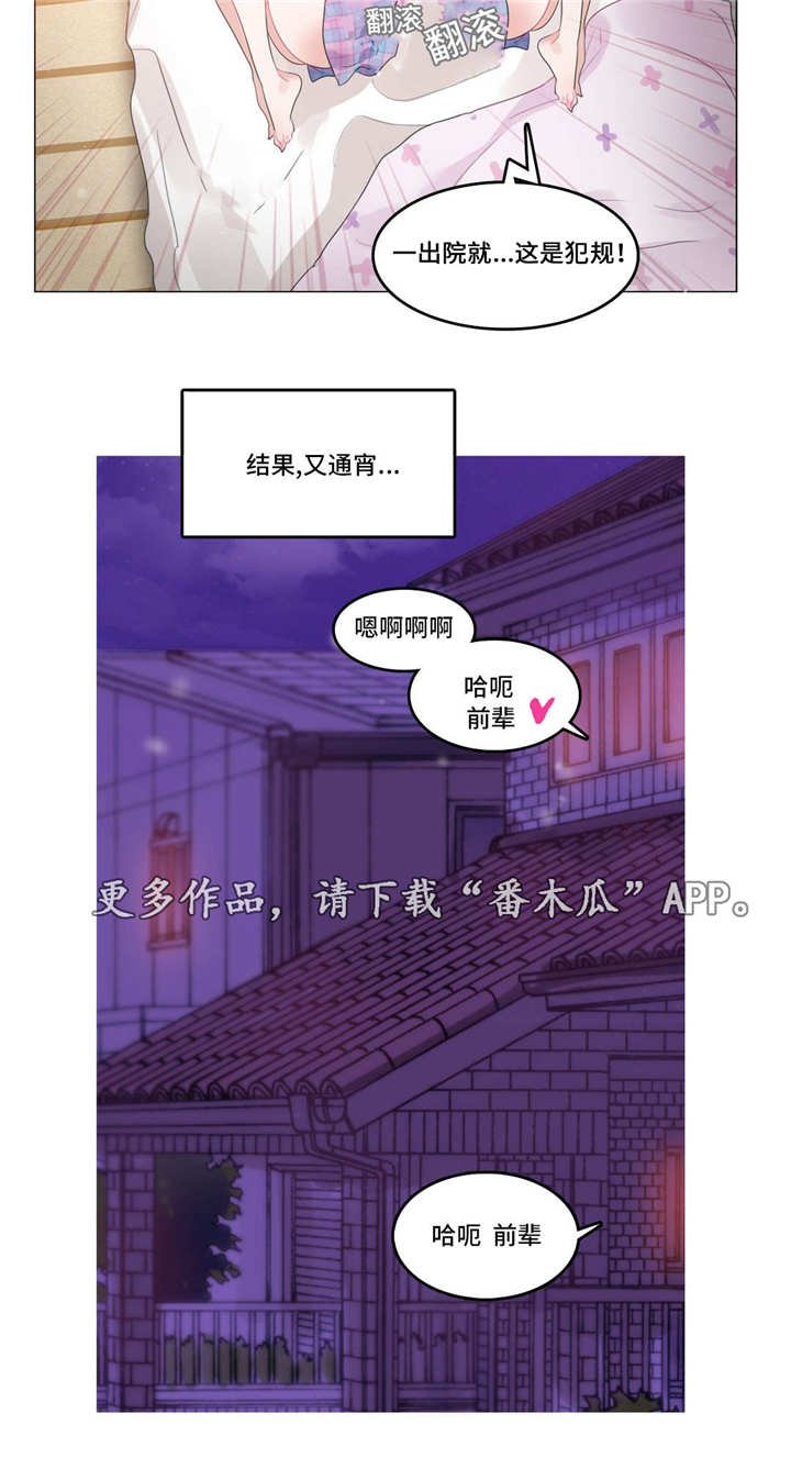 第51章：事实