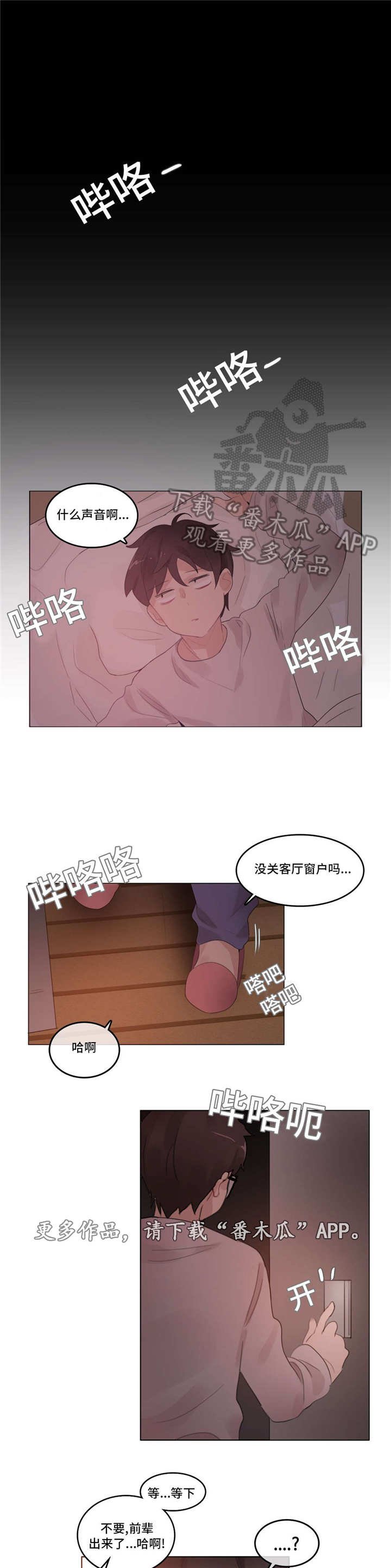第51章：事实