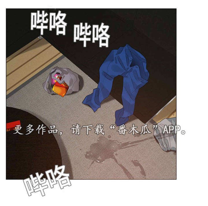 第55章：怀孕