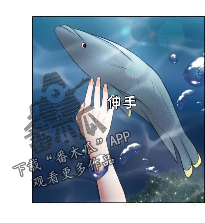 第63章：单方面
