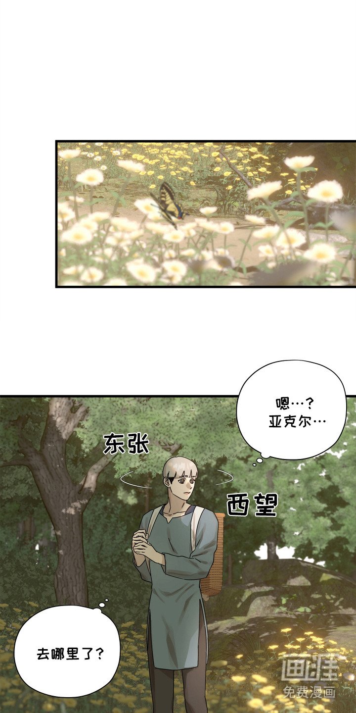 第11章：嘱托