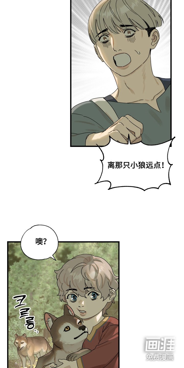第11章：嘱托