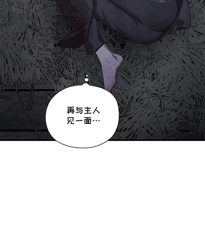 第18章：背叛