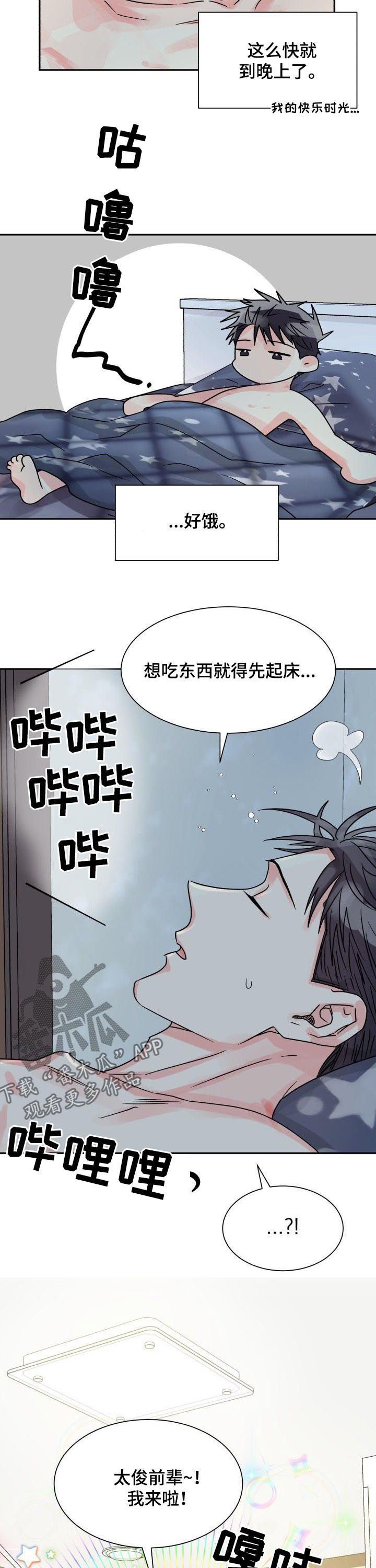 第24章：喂食
