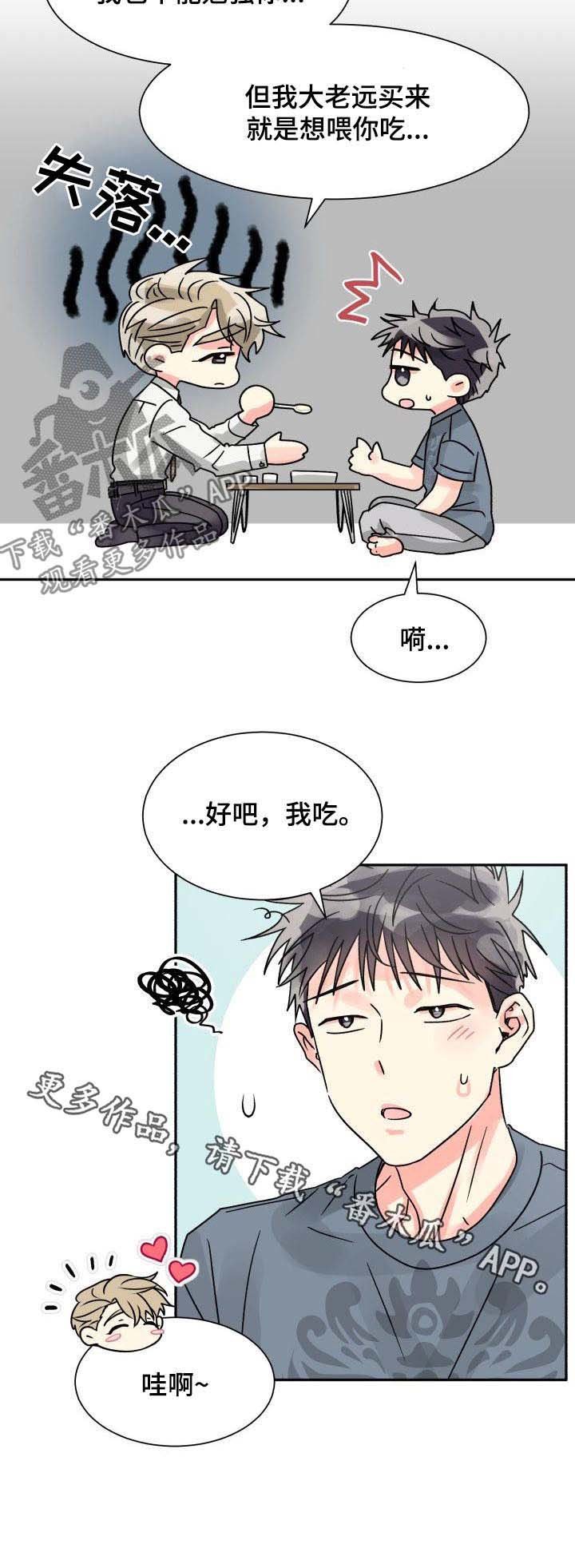 第24章：喂食