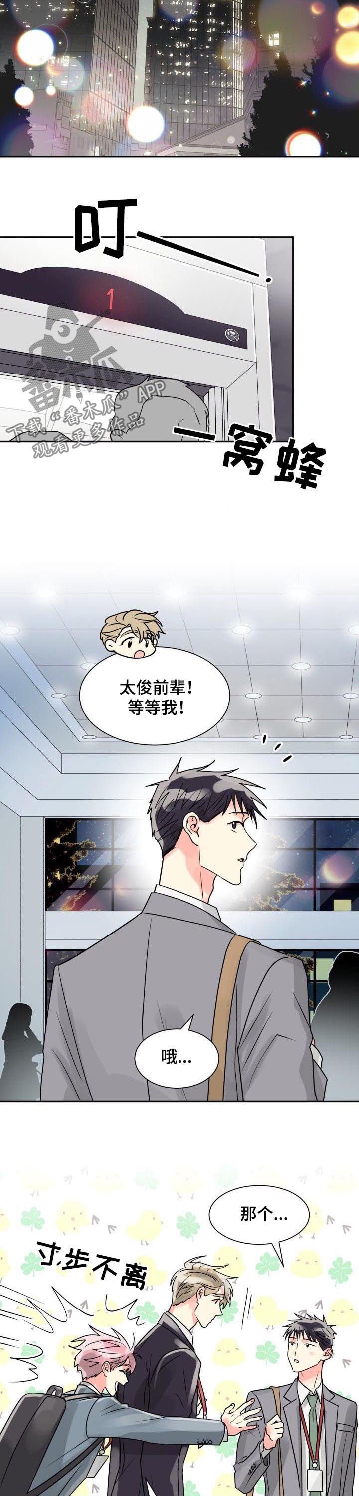 第31章：最合适你的人