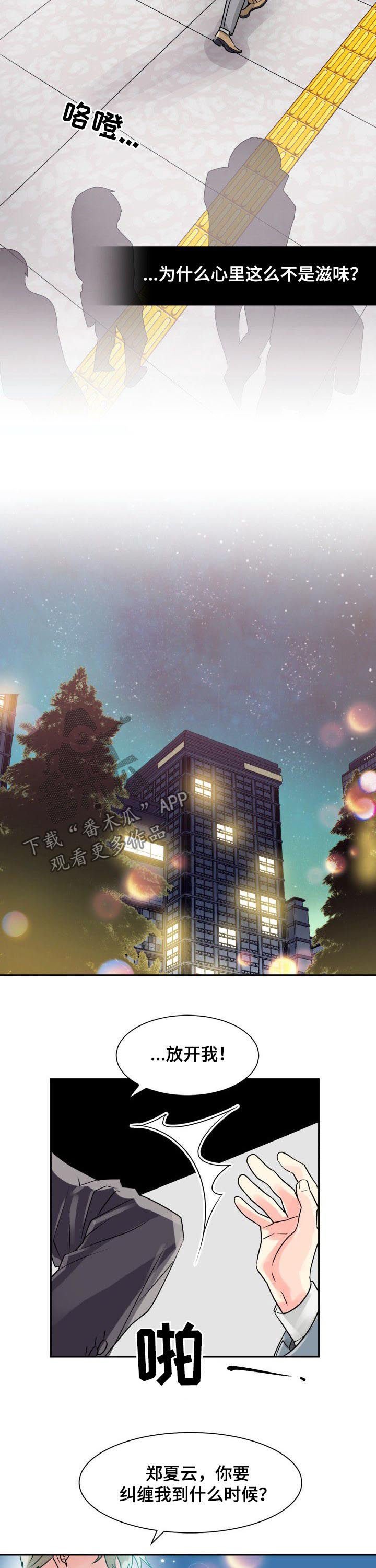 第31章：最合适你的人