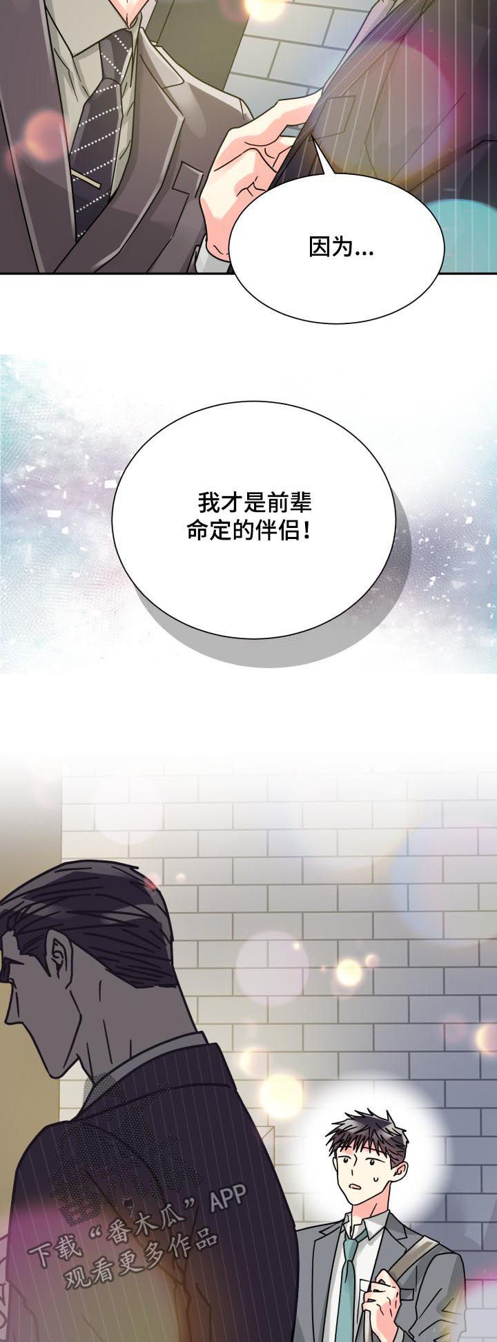 第40章：命定的伴侣