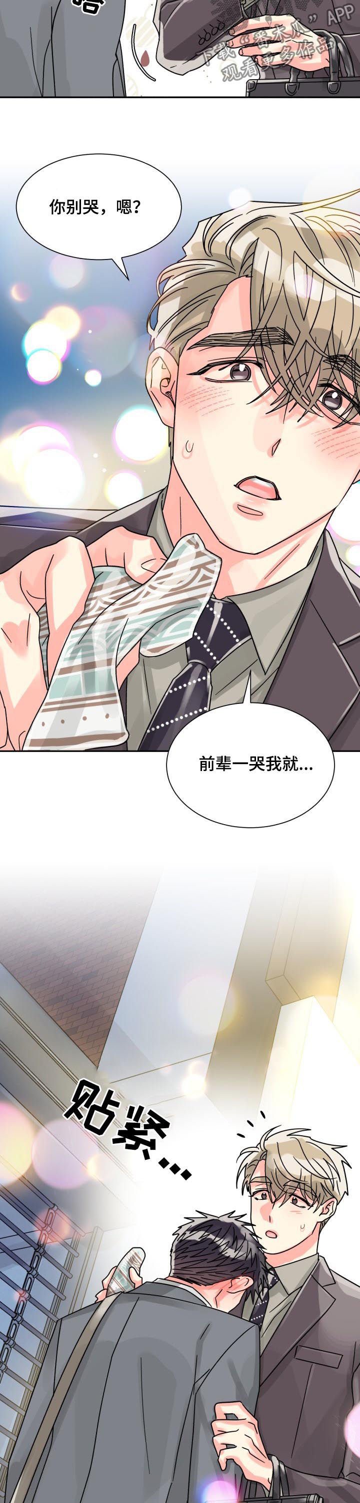 第41章：彩虹色