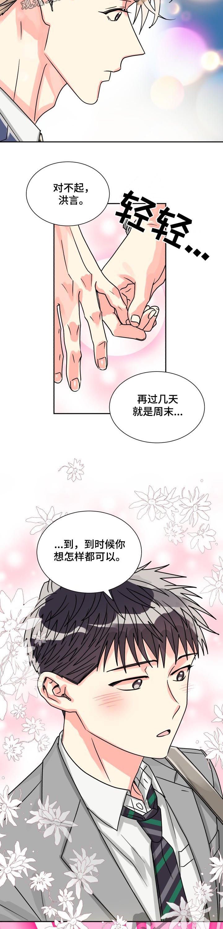 第45章：耀眼的光（完结）