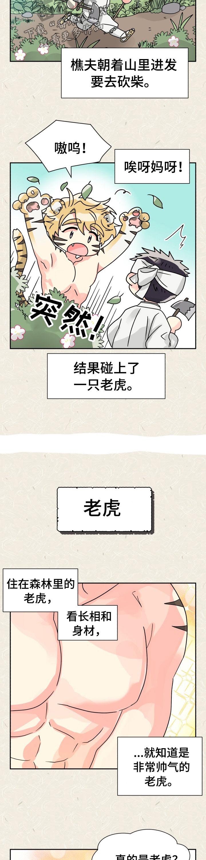 第46章：特别篇：樵夫与老虎