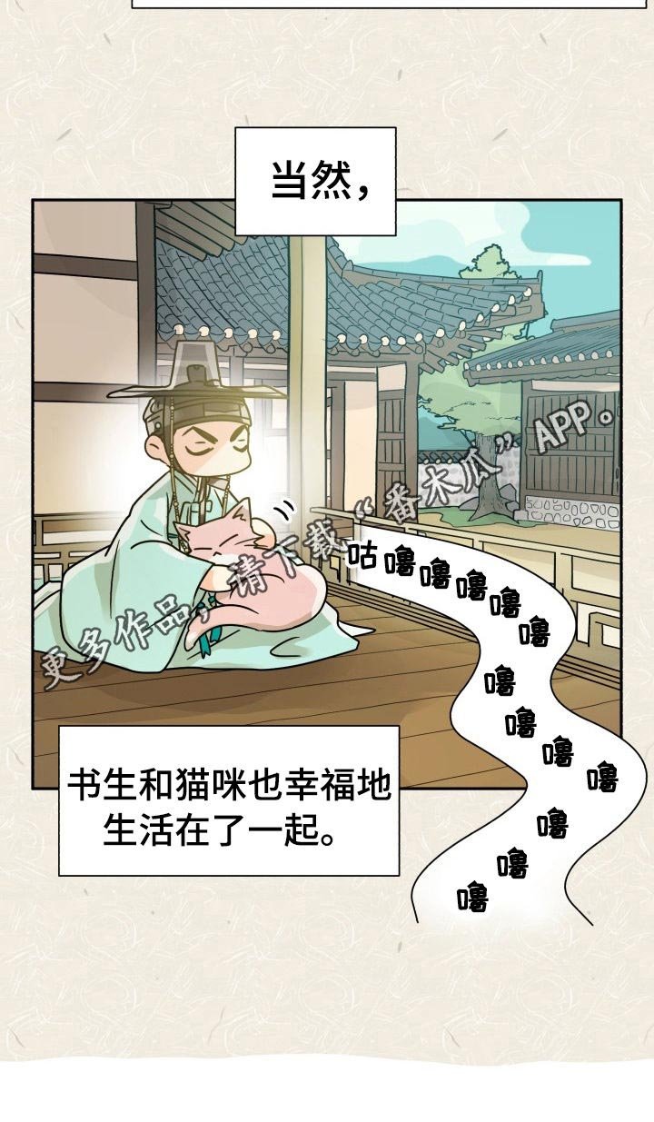第47章：特别篇：猫咪与书生
