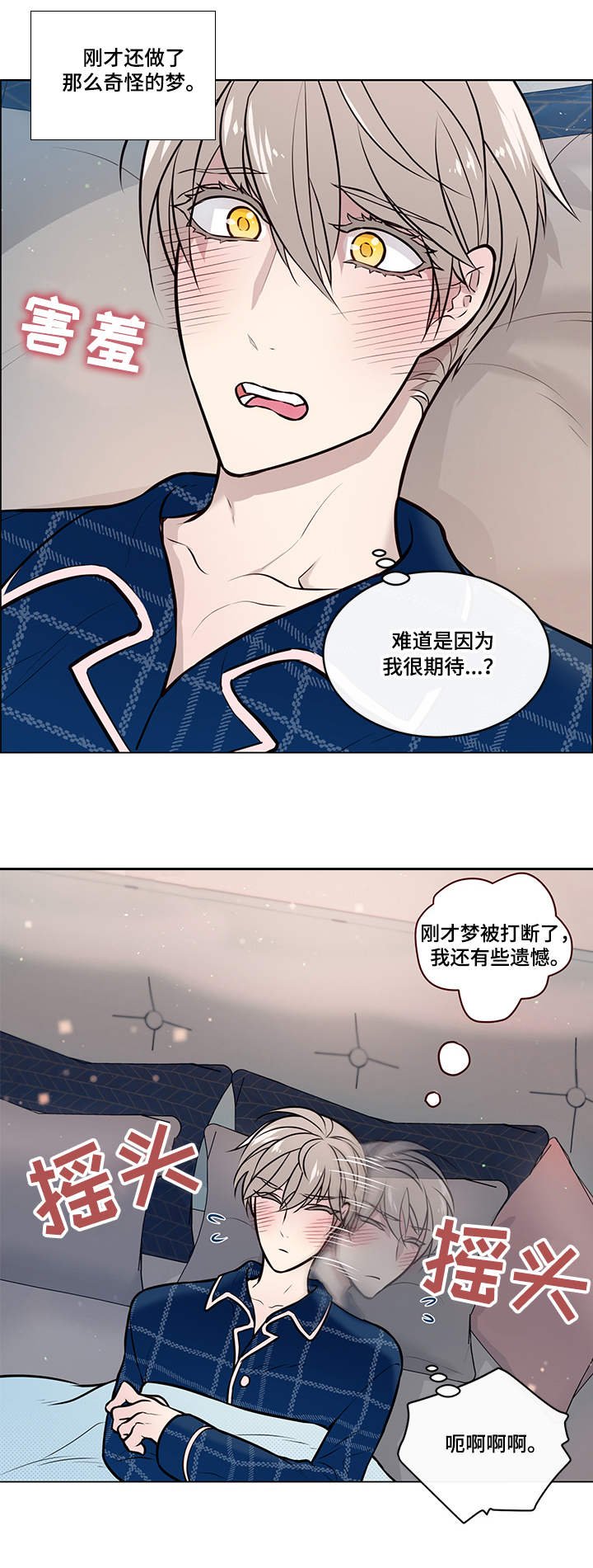 第15章：装睡