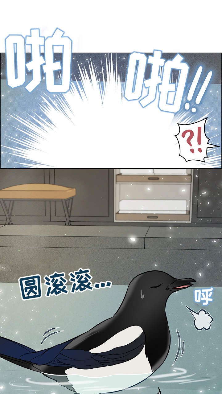 第38章：补偿