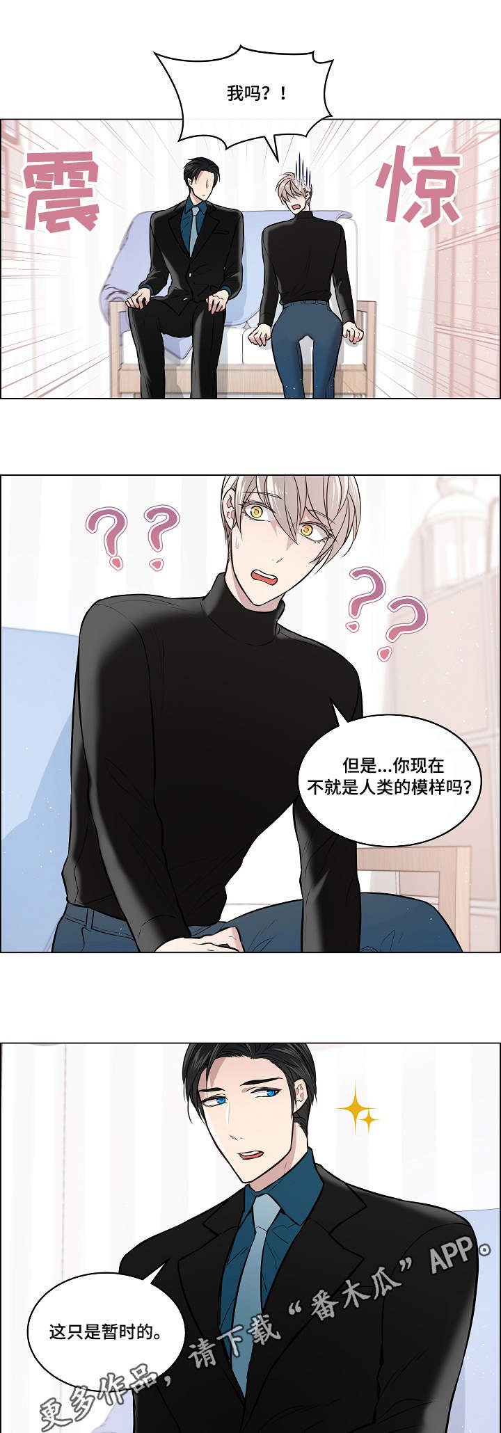 第4章：喜鹊
