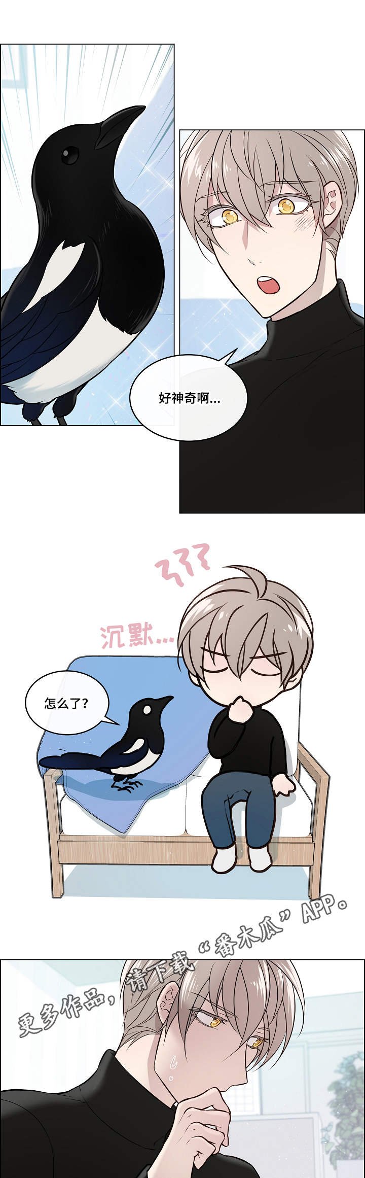 第4章：喜鹊