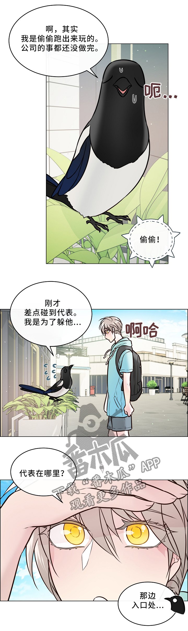 第41章：喜鹊的秘密