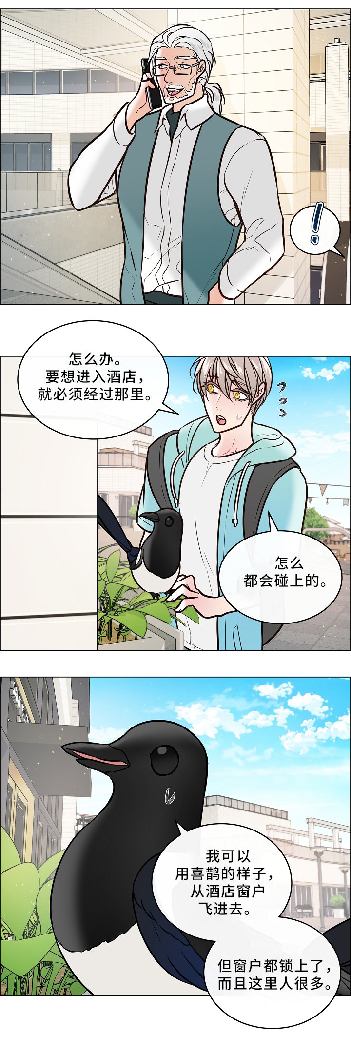 第41章：喜鹊的秘密