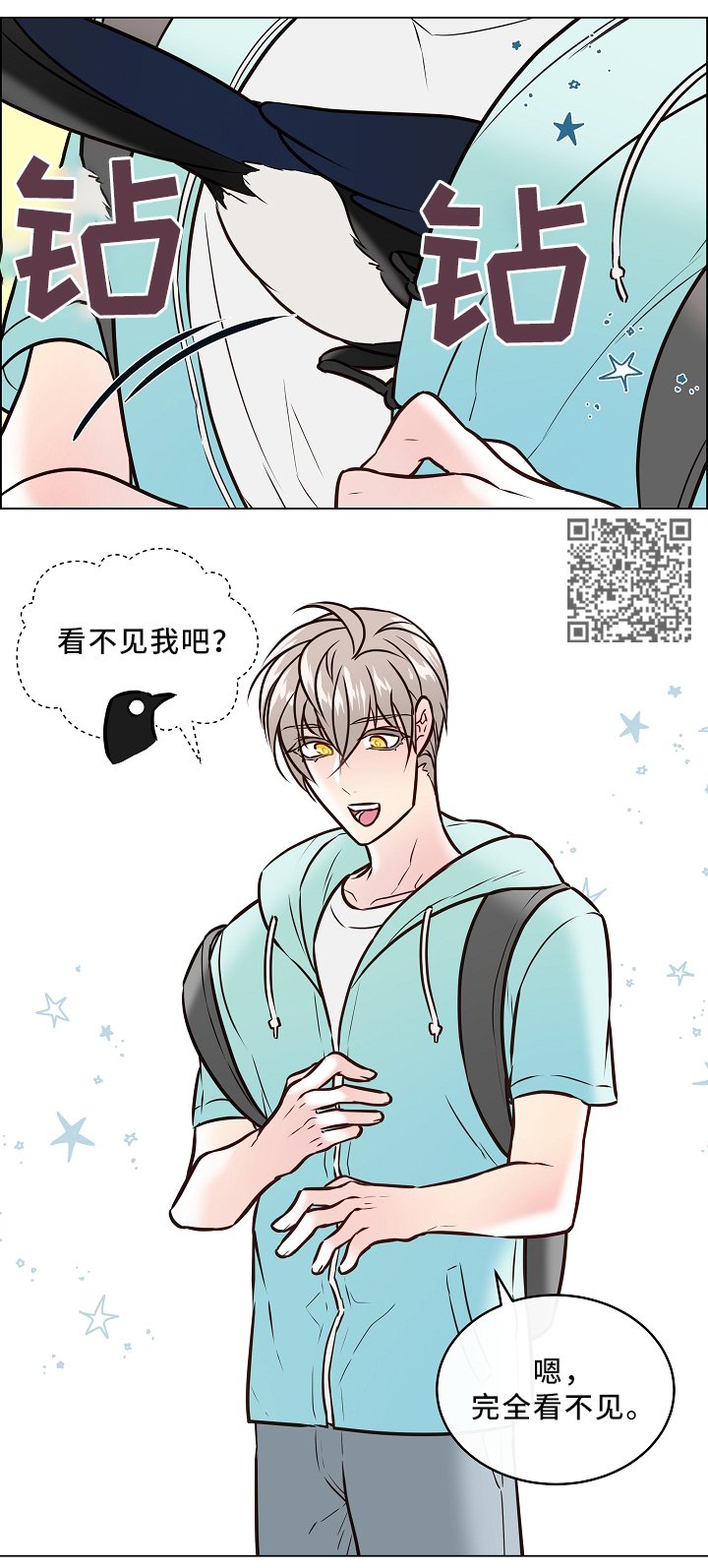 第41章：喜鹊的秘密