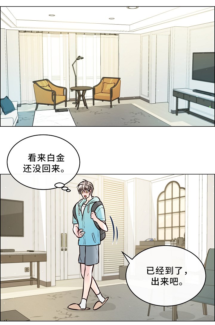 第41章：喜鹊的秘密