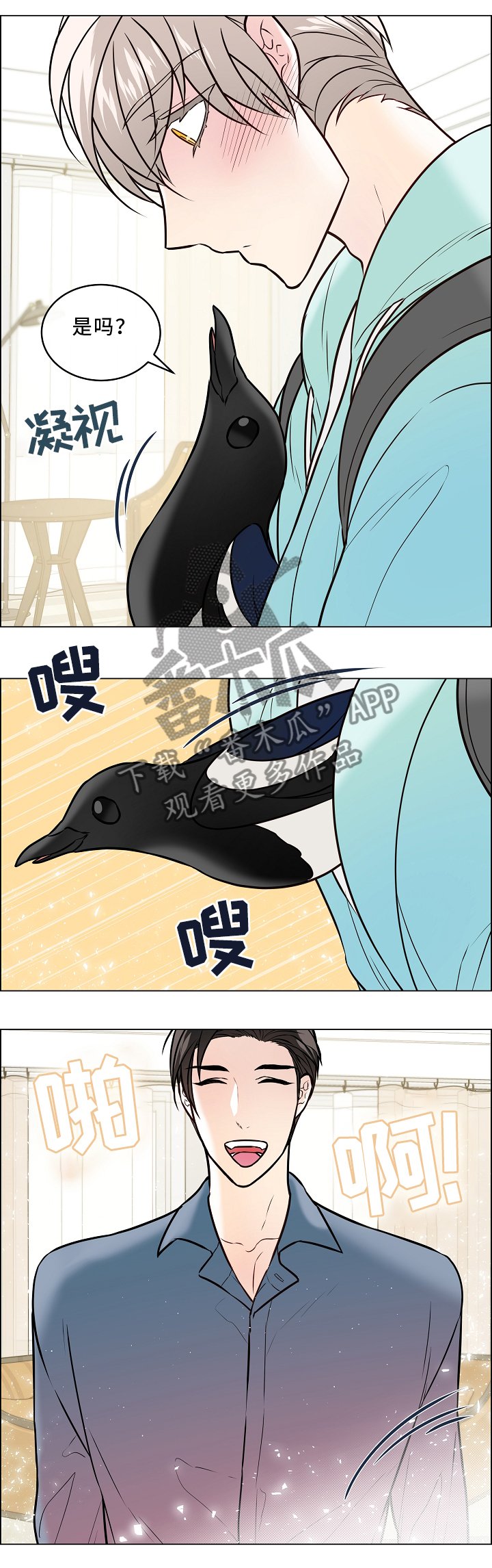 第41章：喜鹊的秘密