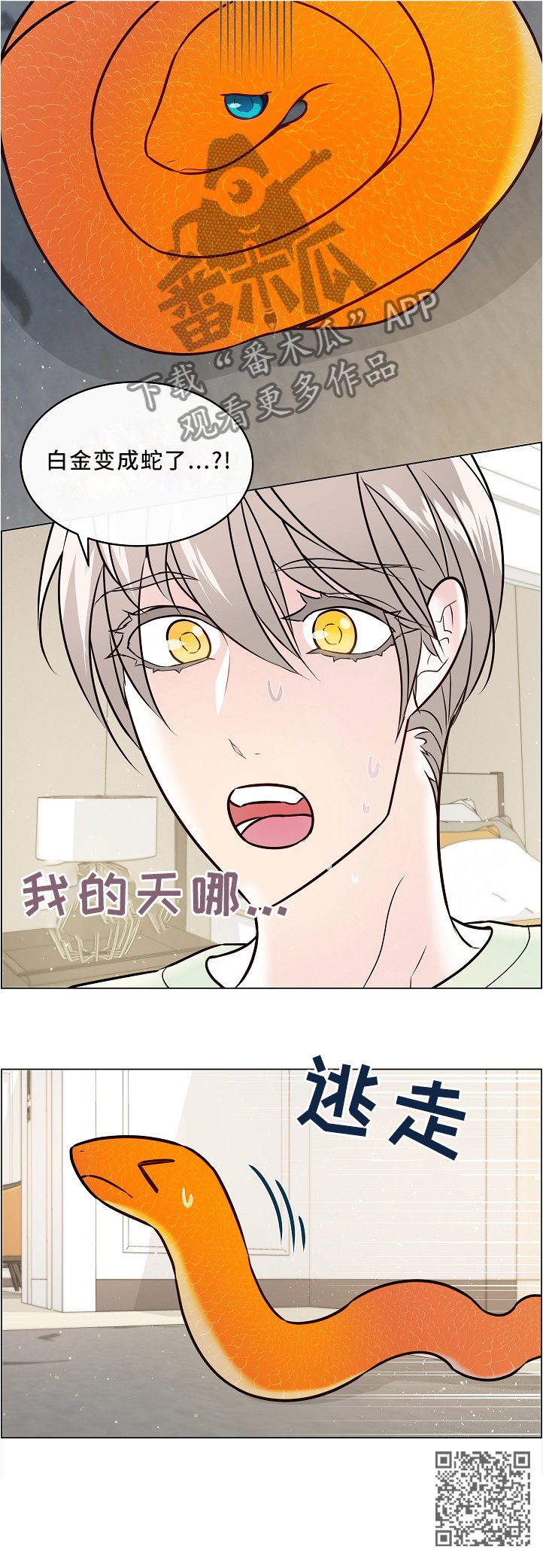 第43章：同类