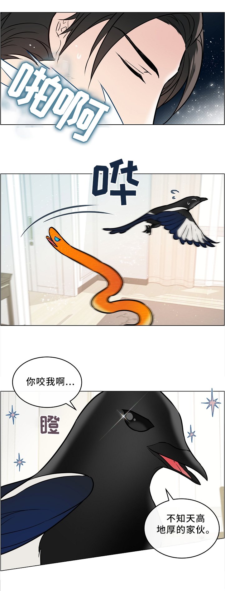 第44章：两只宠物