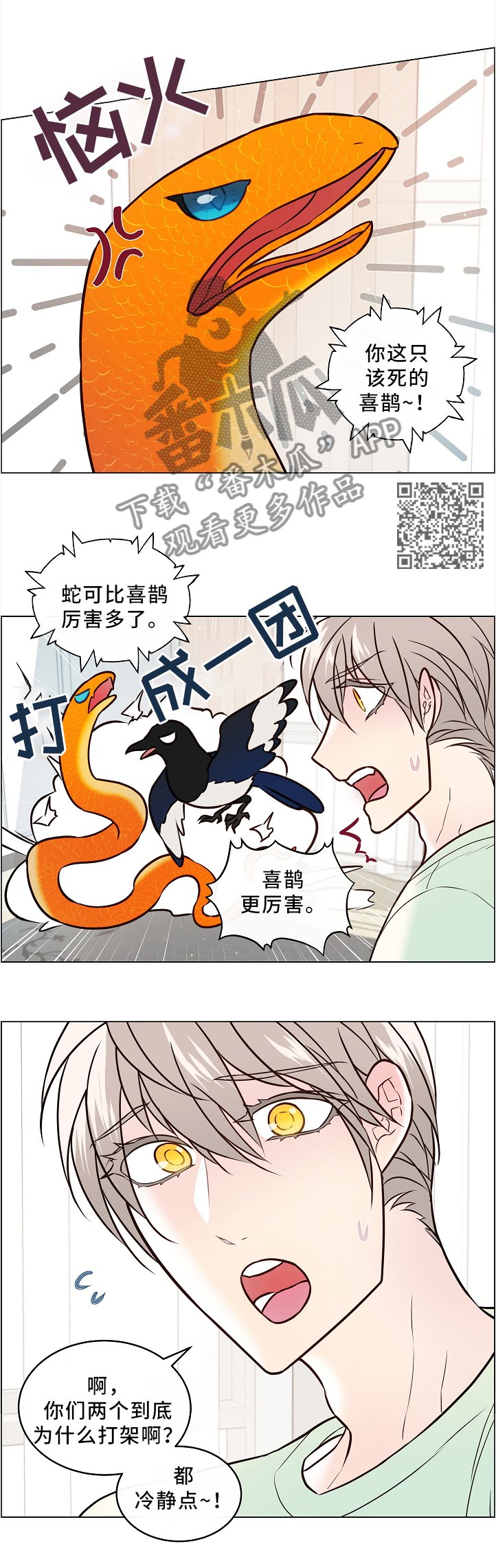 第44章：两只宠物