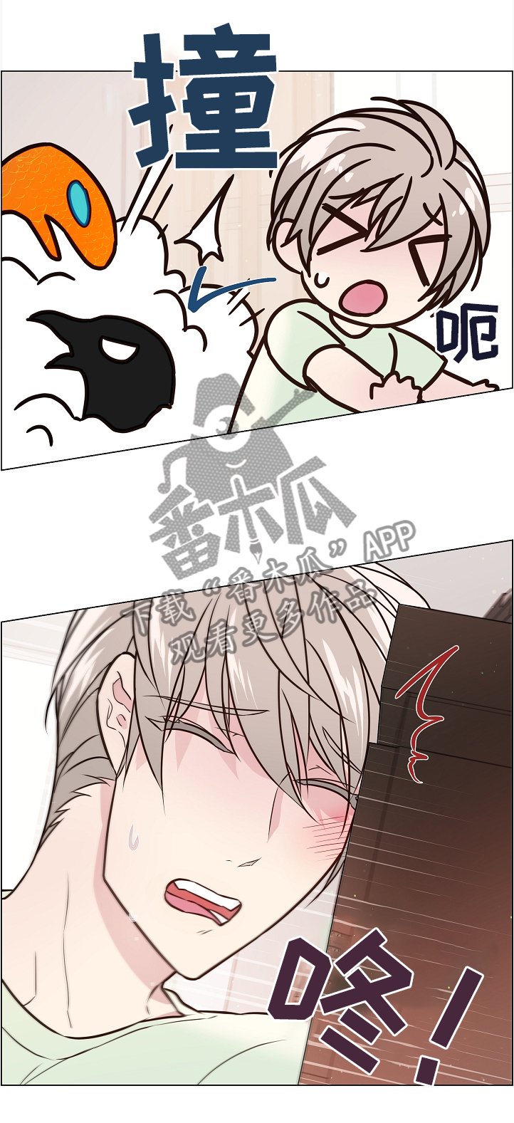 第44章：两只宠物