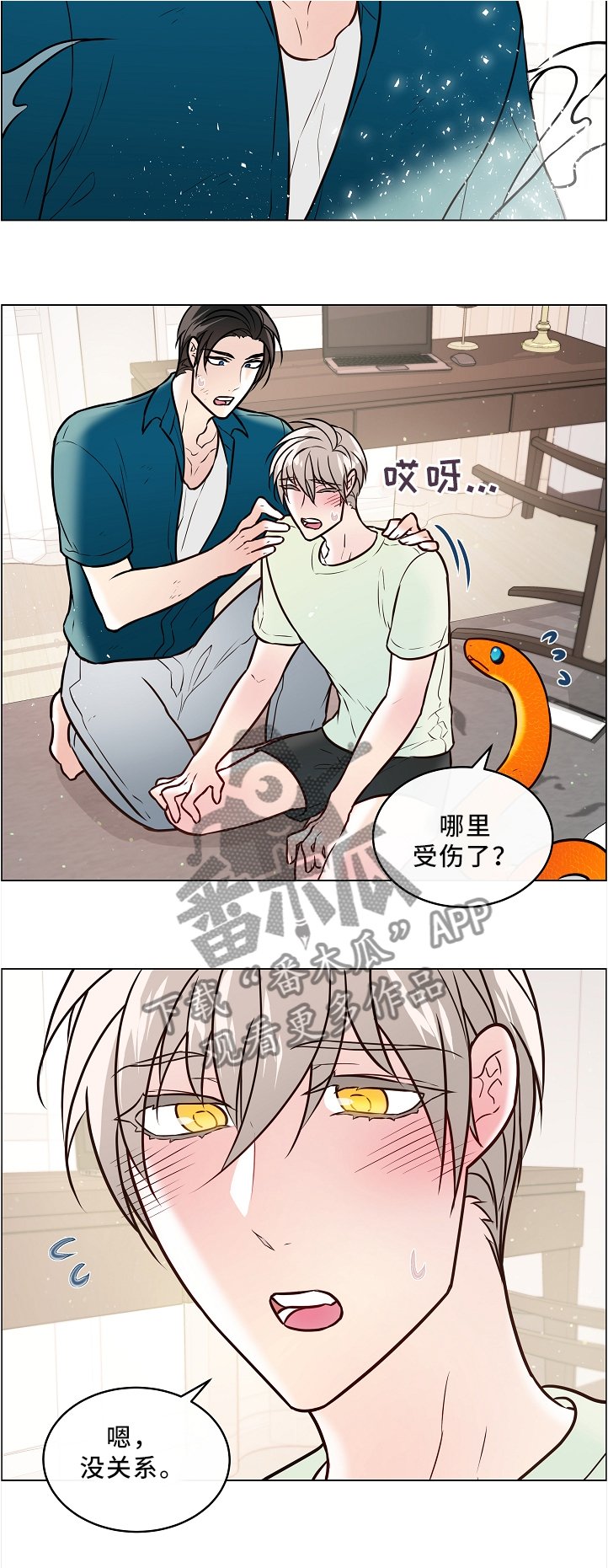 第44章：两只宠物