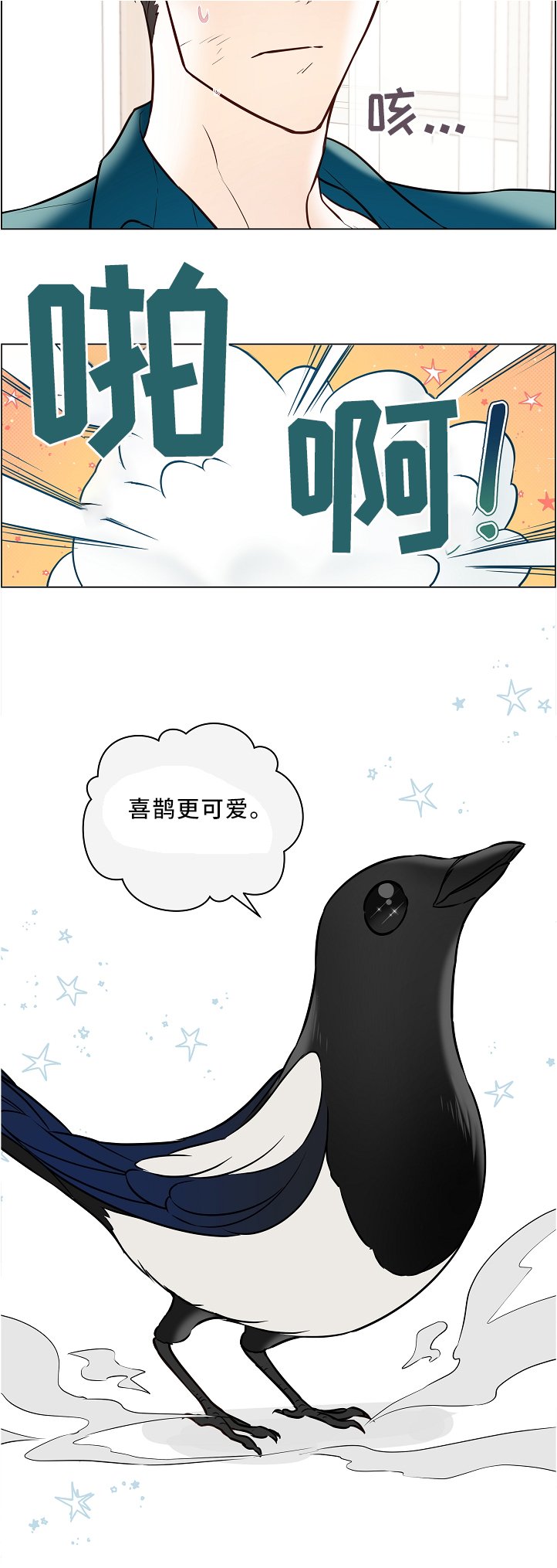 第44章：两只宠物