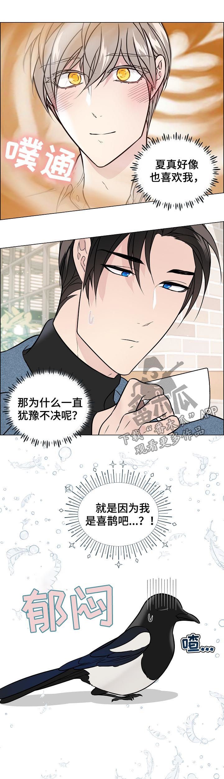 第54章：目睹