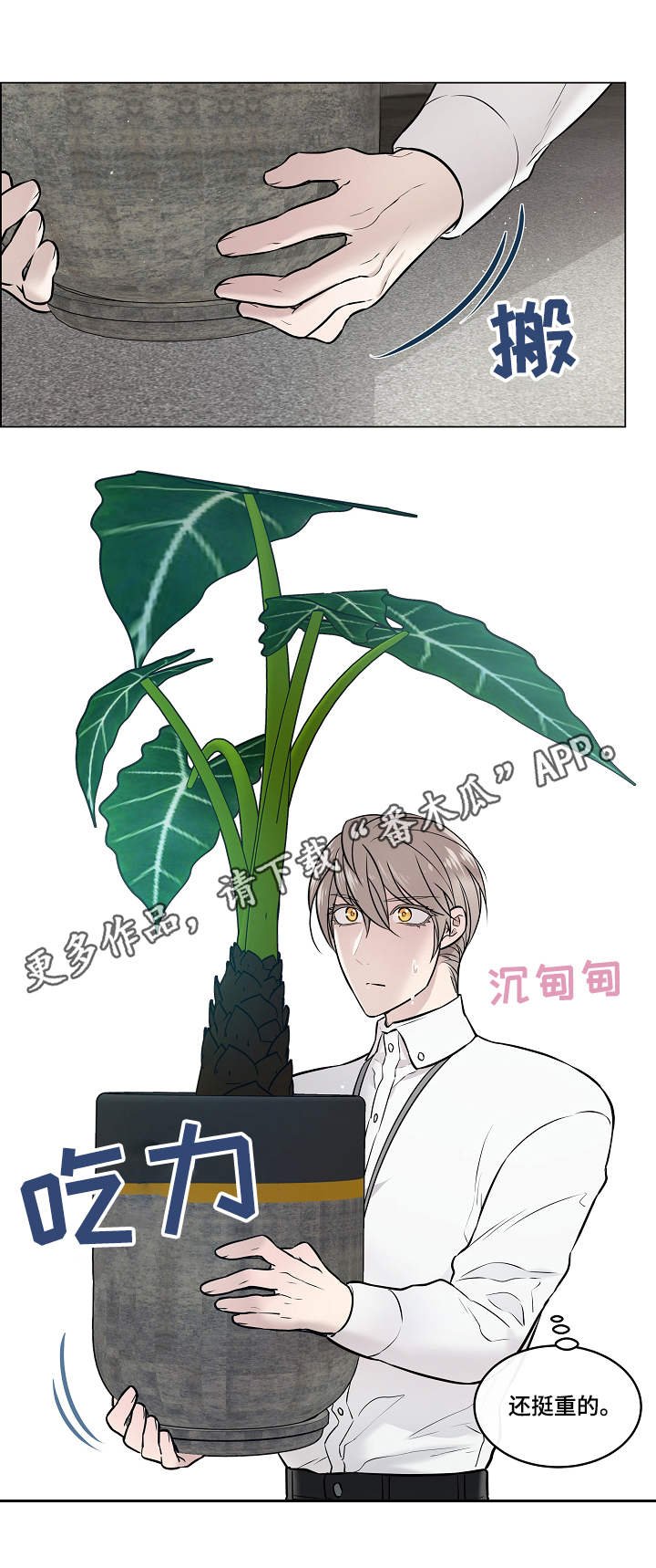 第6章：嫉妒