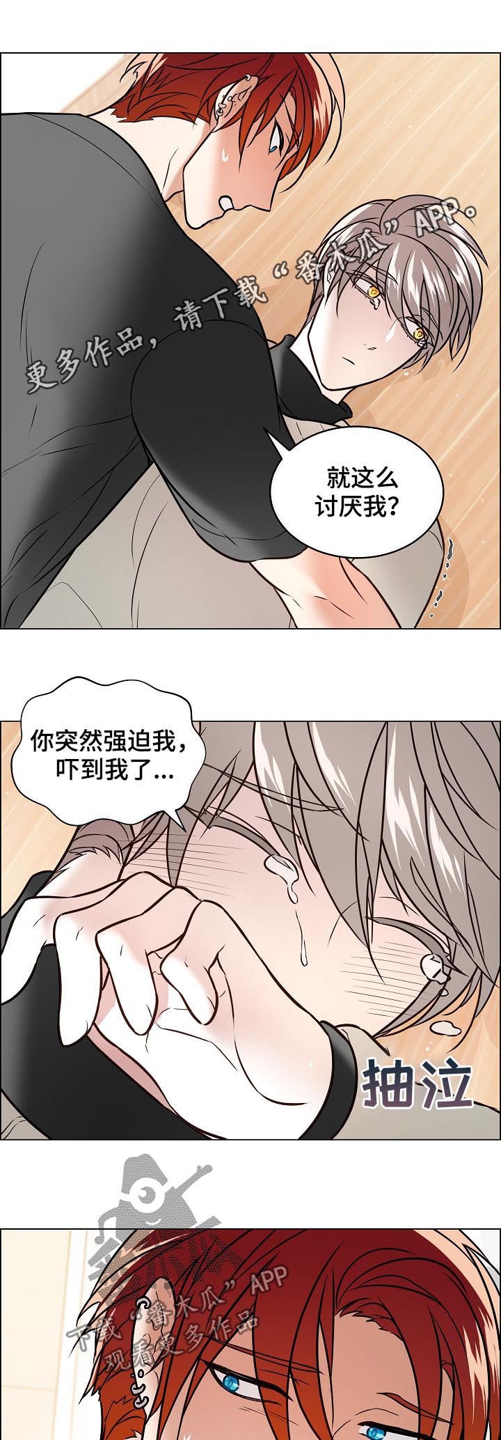 第61章：照片