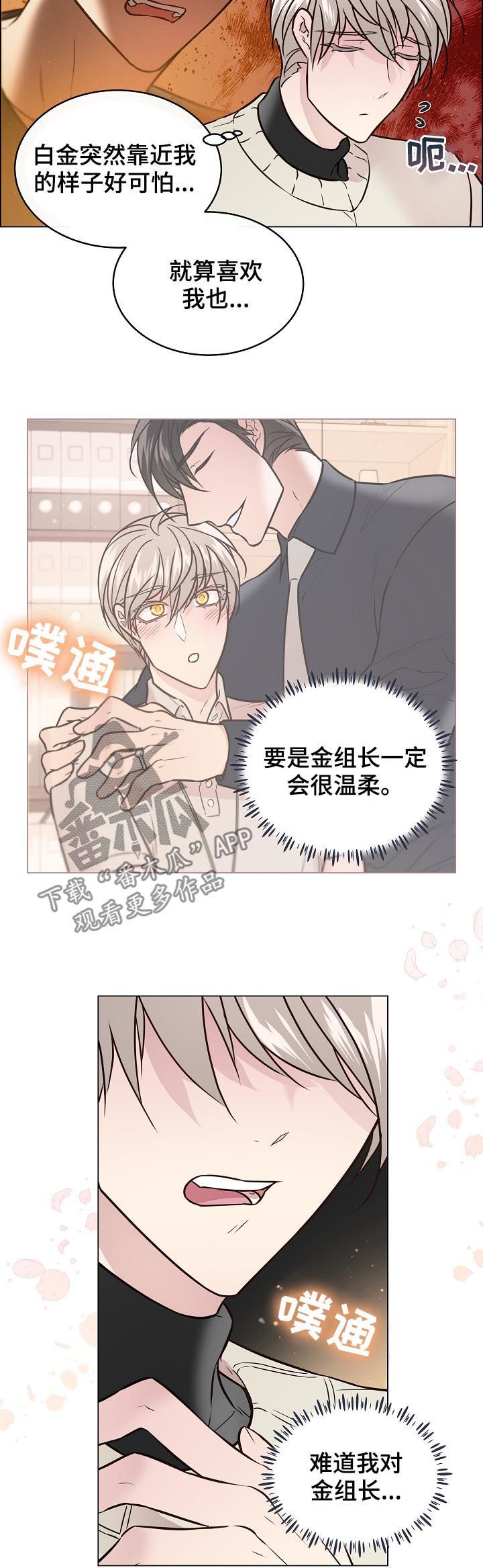 第61章：照片