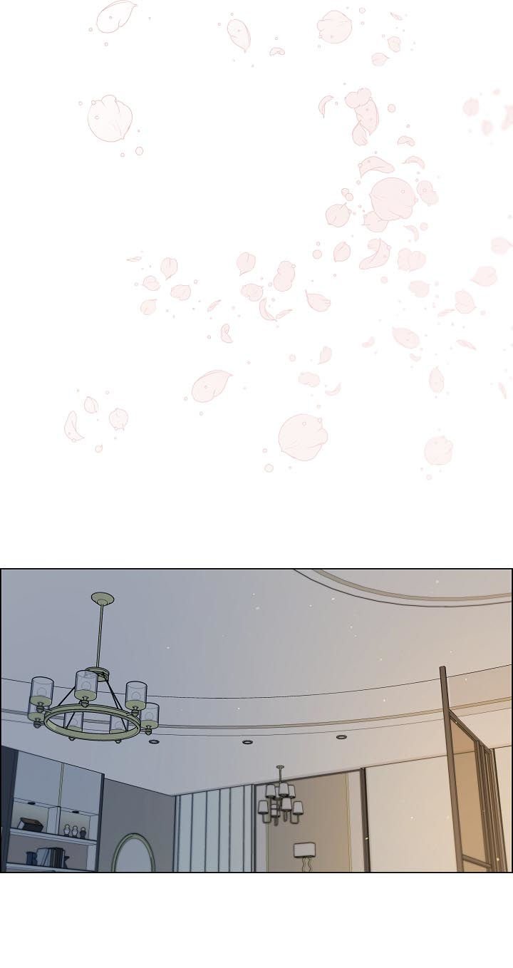第61章：照片