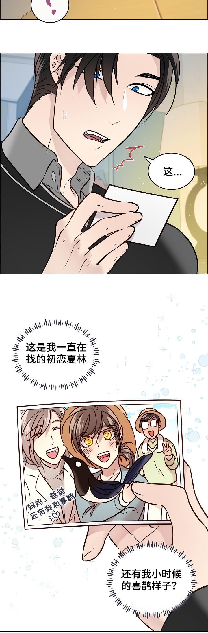 第61章：照片