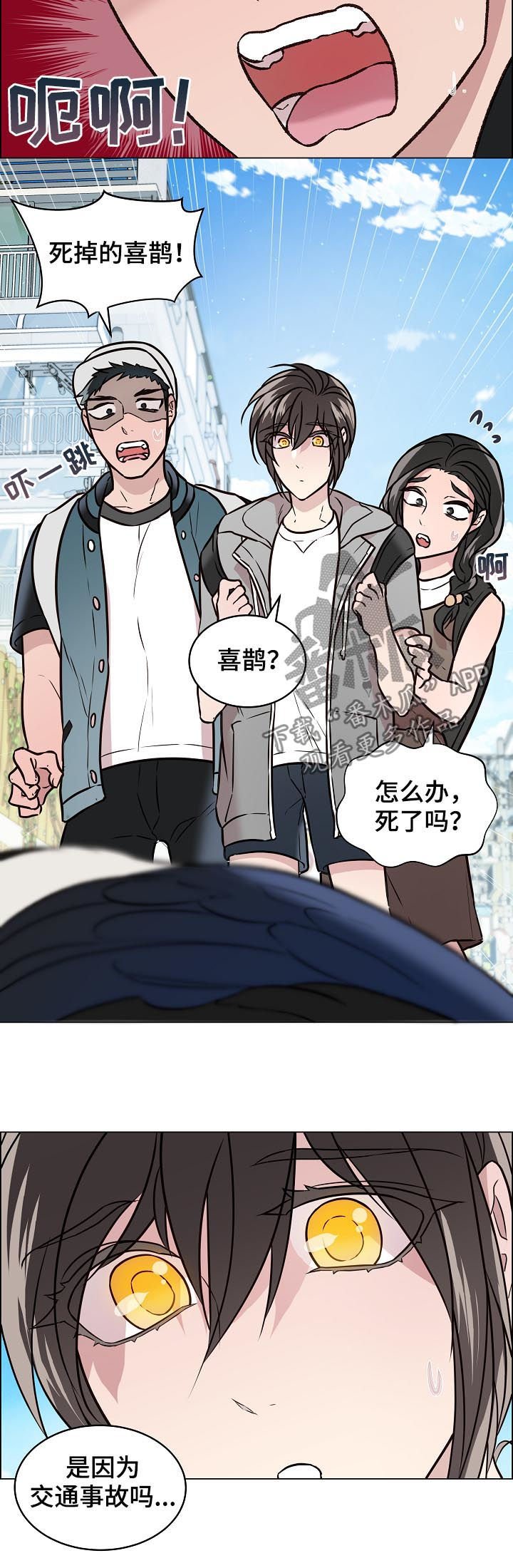 第62章：交通事故