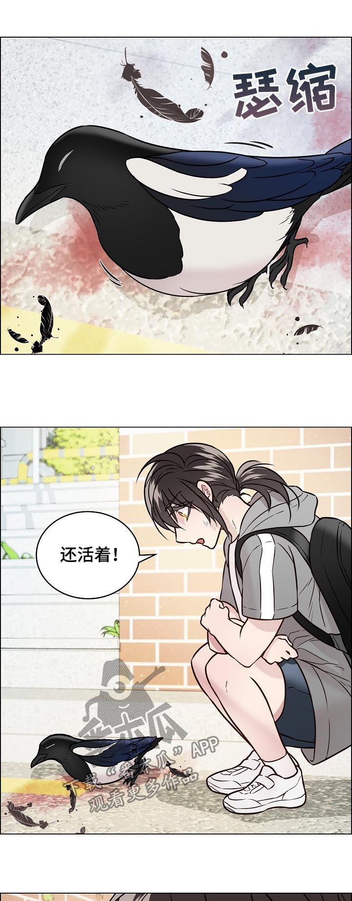 第62章：交通事故