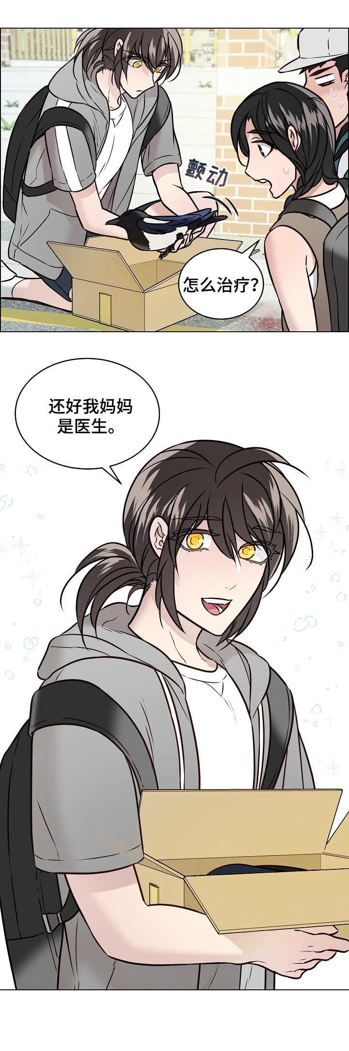 第62章：交通事故